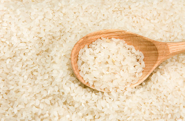 rice grain in spoon