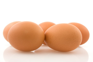 brown eggs with reflection on white background