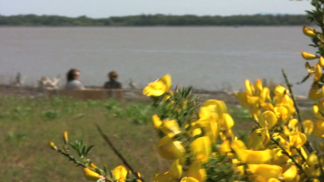 Friends Talking By The Ocean