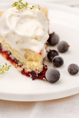 Berry Cake