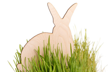 easter rabbit on grass