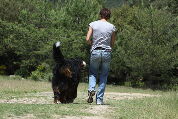 bernese mountain dog and a woman walking