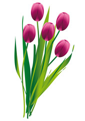 Tulpen Blumenstrau&szlig;