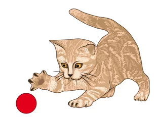 Zelfklevend Fotobehang Katten Tijgerkatje