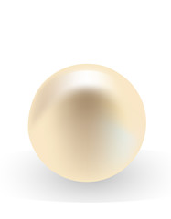 vector template with realistic pearls