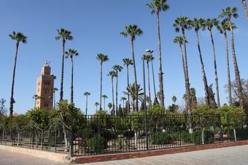 Fototapeta premium Koutoubia mosque, Marrakech, Morocco, Africa