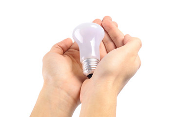Bulb in hands on a white background