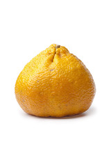 Whole single fresh Ugli