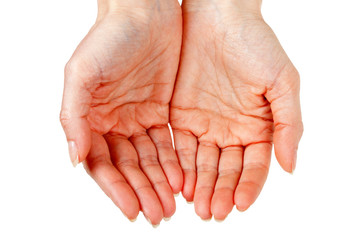 two female hands