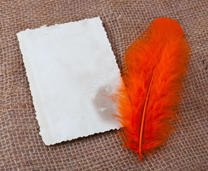 Feather and old blank card