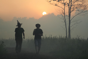 Sunrise in forest