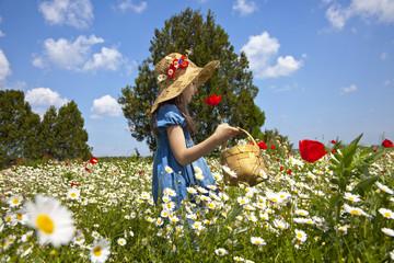 Spring comes