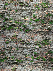 plants on antique roman brick wall seamless
