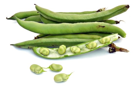 Vainas de habas