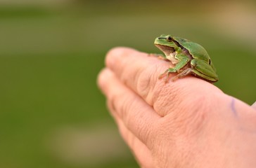 potection nature