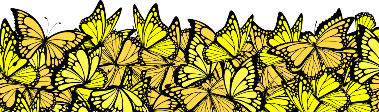 butterflies border