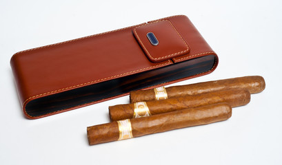 cigars on the case