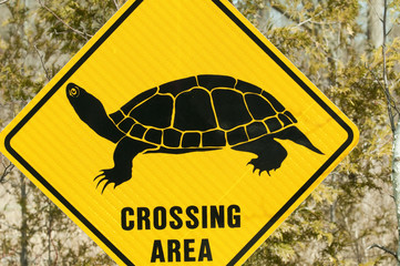 turtle sign