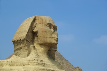 Fototapeta premium sphinx cairo egypt