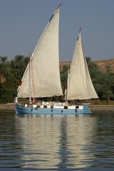 Felucca on the nile