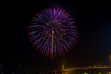 firework in nigth sky