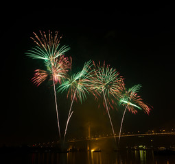 firework in nigth sky