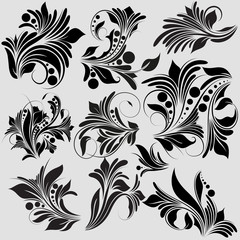 Floral Style vector illustration design elements