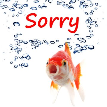sorry