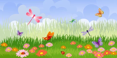 Photo sur Plexiglas Papillon Pelouse fleurie panoramique