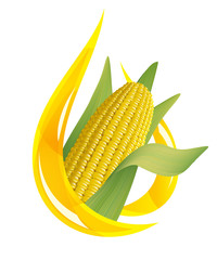 Corn oil. Stylized drop of oil, and corn cob. © spline_x