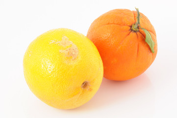 Arancia e limone