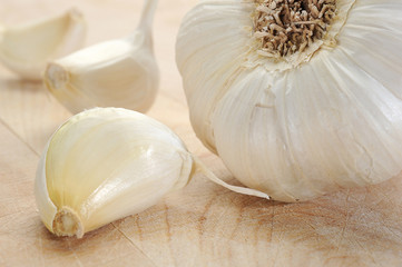 Garlic