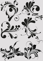 Floral Vintage Style vector illustration design elements