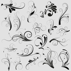 Swirls Floral Vintage Style vector illustration design elements