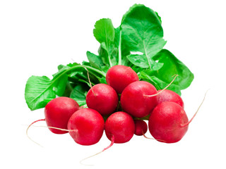 Radish isolated on white background
