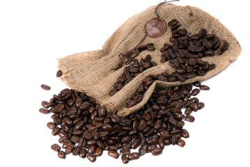 cofee bean