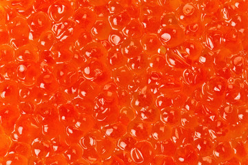 Red salmon caviar texture background
