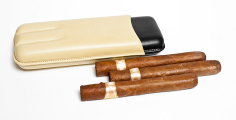 cigars on the case