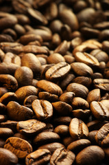 Coffee beans background