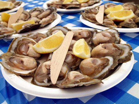 ostras