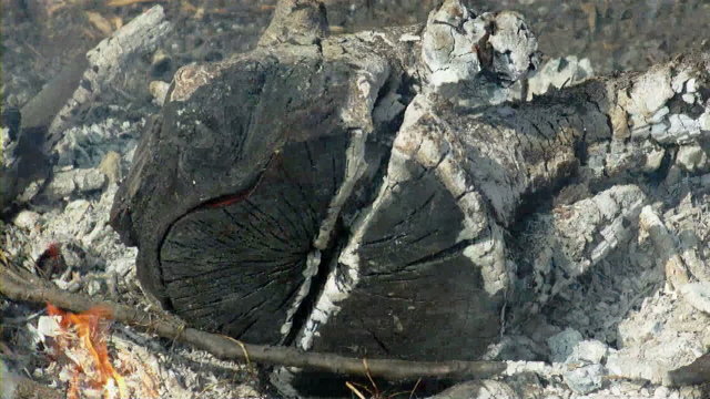 Lagerfeuer