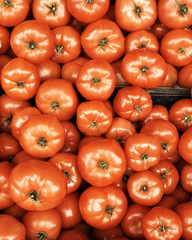 vivid red tomatoes closeup, background