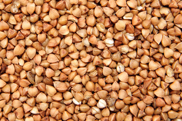 buckwheat;
