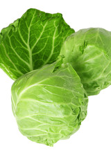 young cabbage, it is isolated on white