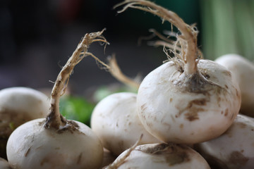 White radish