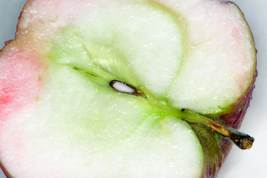 apple, aple, agriculture, nature, fruit, health