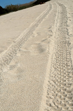 tracce sulla sabbia
