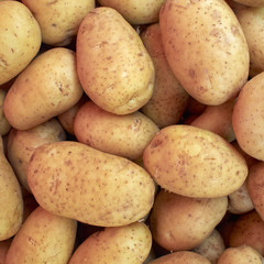 Earth treasures, potatoes