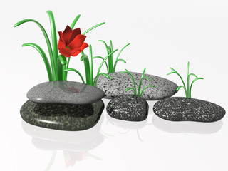 Spa stones with grass and flowers