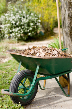 brouette remplie de feuilles mortes